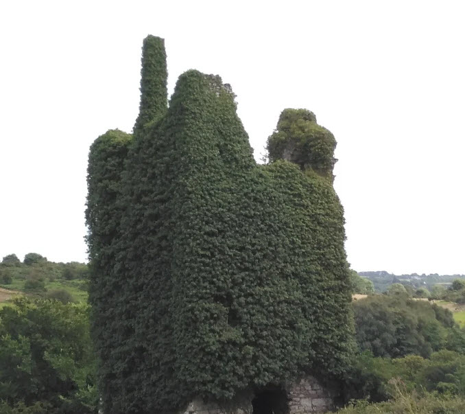 Kilmeadan Castle Ruins, Kilmeadan, Ireland, Ireland